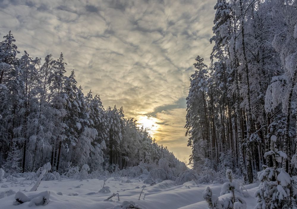 Photograph by Андрей Калинин