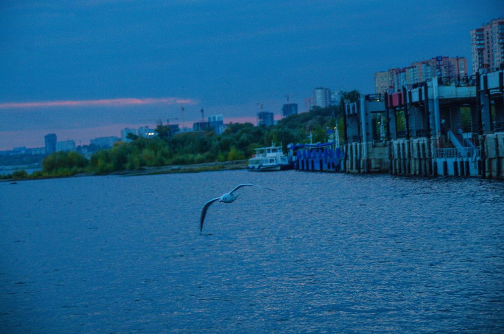 Photograph by Александр Раков