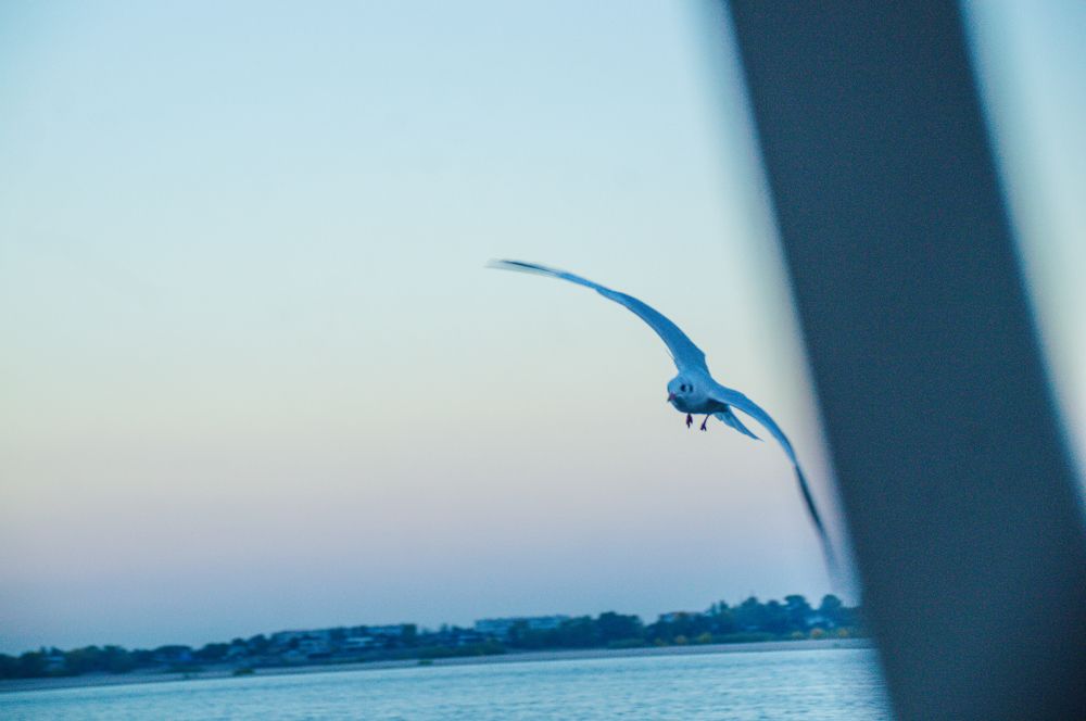 Photograph by Александр Раков