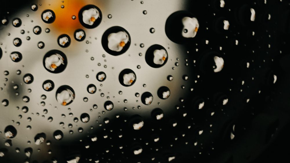 Photograph by Анастасия Мостачёва