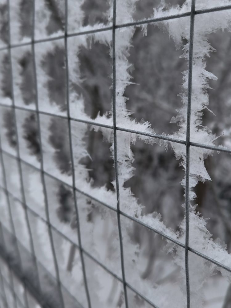 Photograph by Анастасия Мостачёва