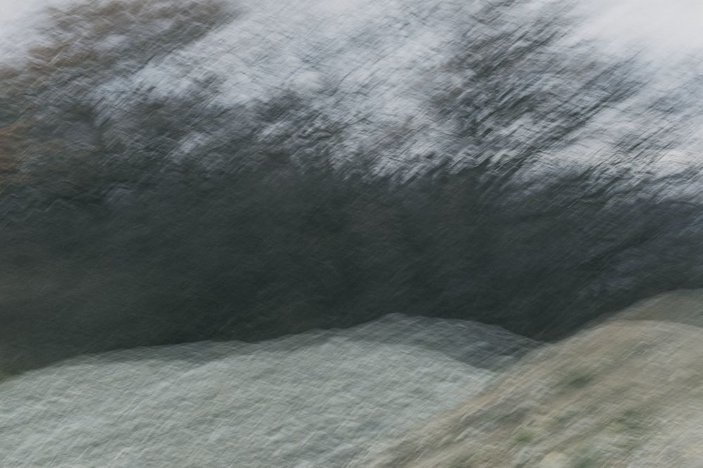 Вспорхнувшая птица.