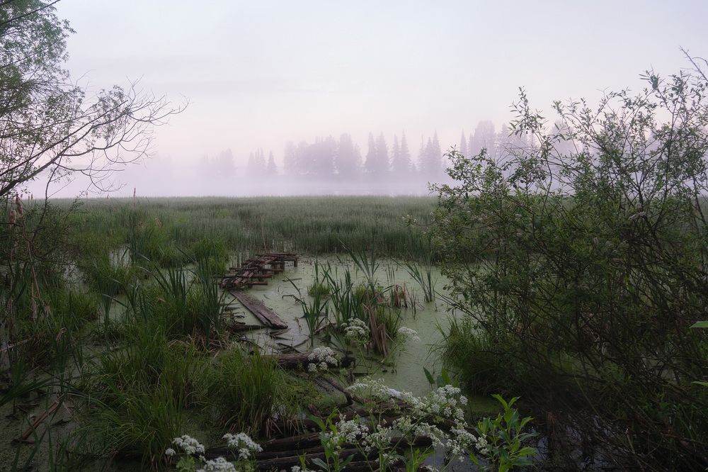 Photograph by Юлия Морозова