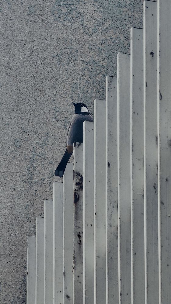 Photograph by Mina Mamdouhi