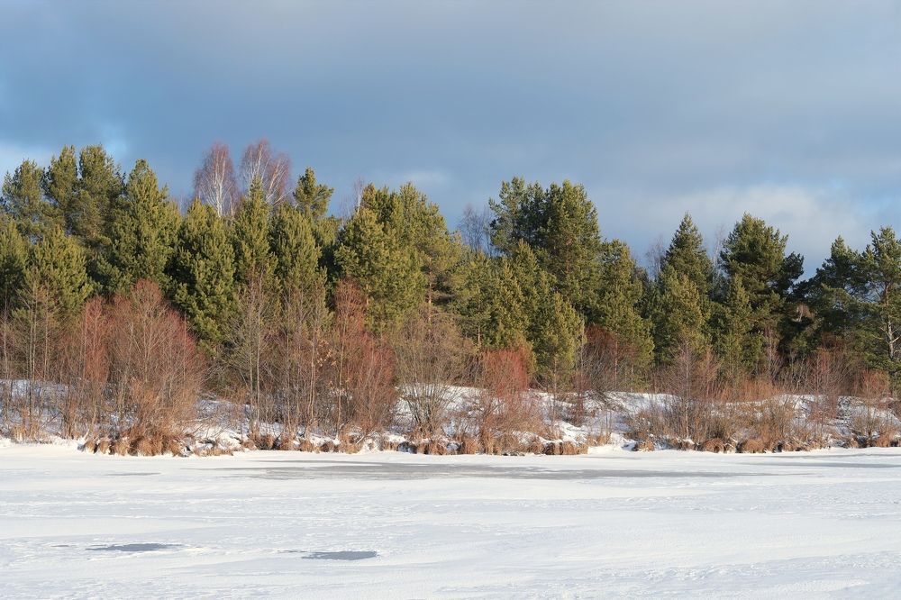 Photograph by Вера Боржеева