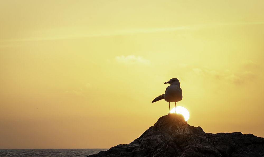 Photograph by Irina Ostapenko (Nepavlova)