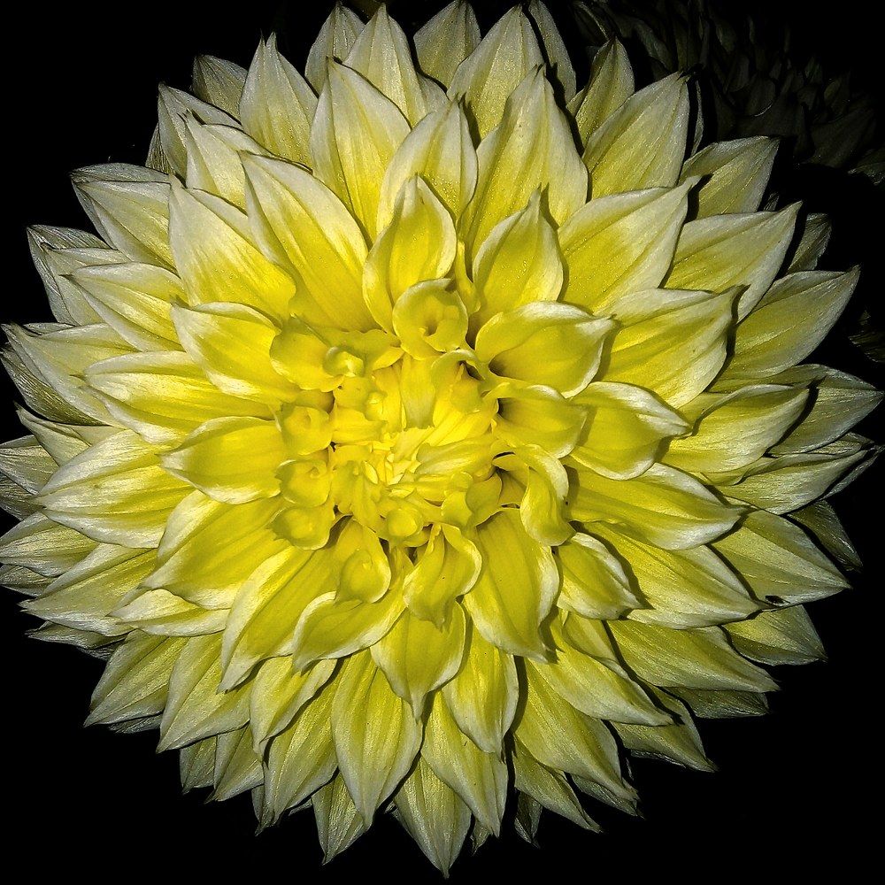 Photograph by Наталия Глущенко