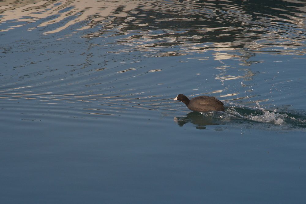 Photograph by Артём Пархоменко