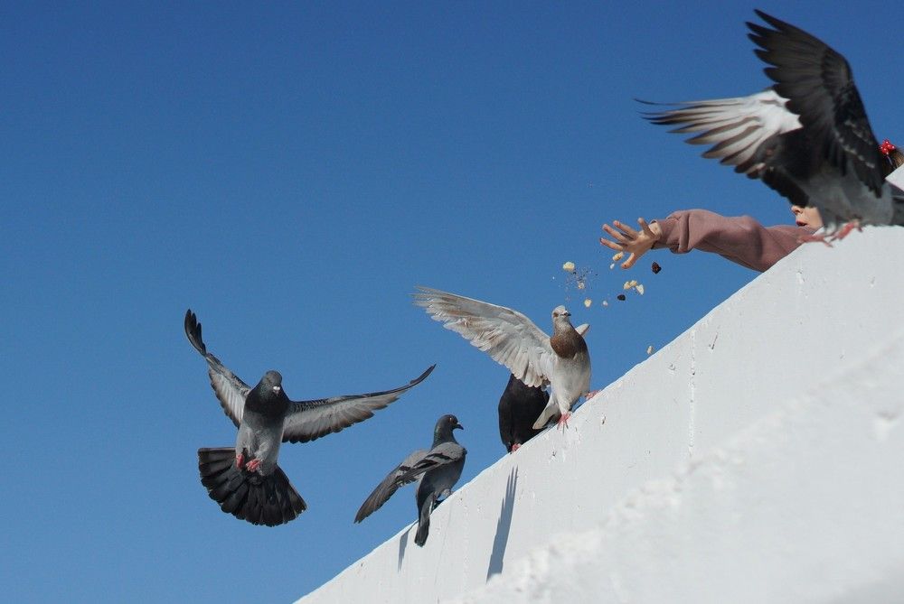 Photograph by Артём Пархоменко