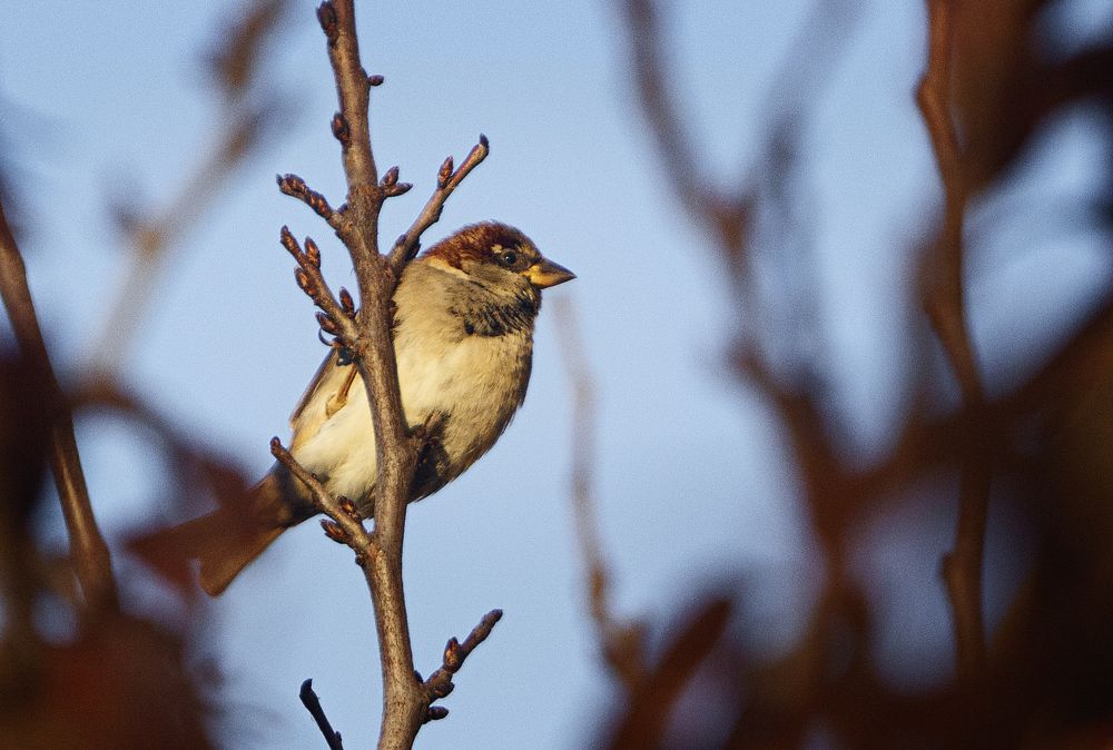 Photograph by Alexandre Marques