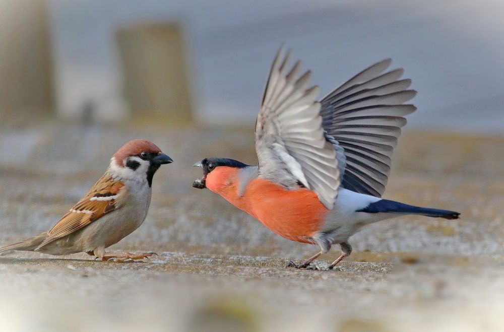 Photograph by Андрей Брагин