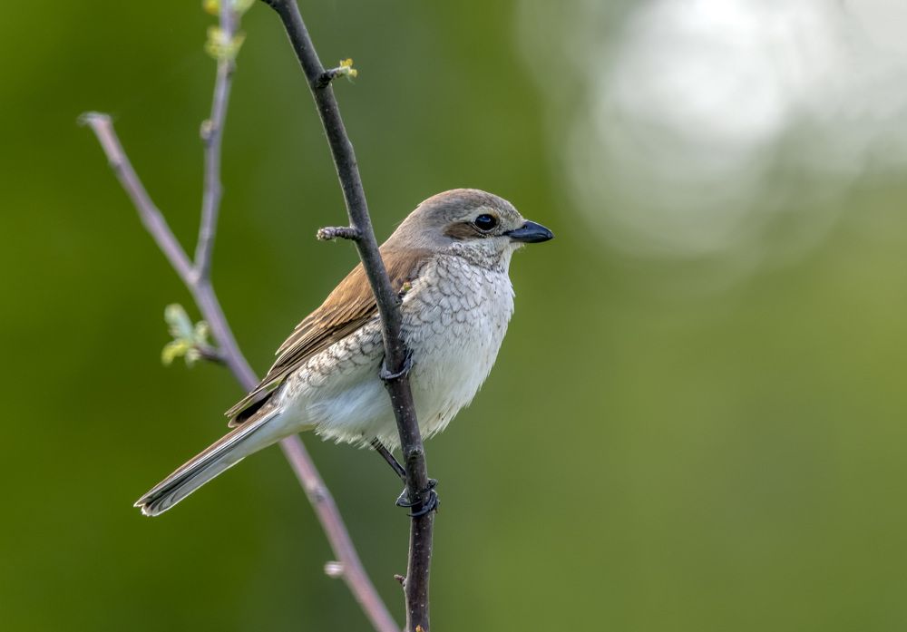 Photograph by Андрей Калинин
