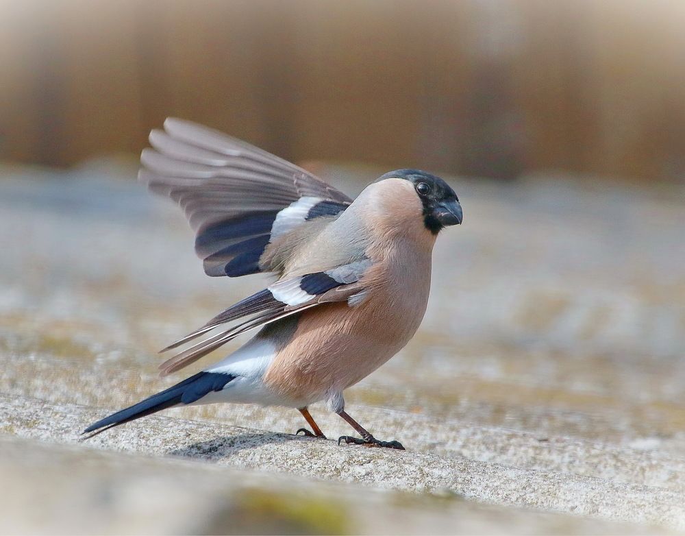 Photograph by Андрей Брагин