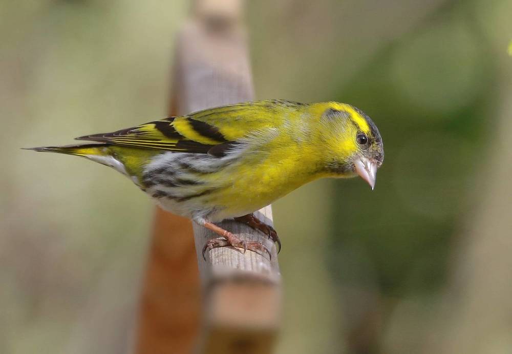 Photograph by Андрей Брагин