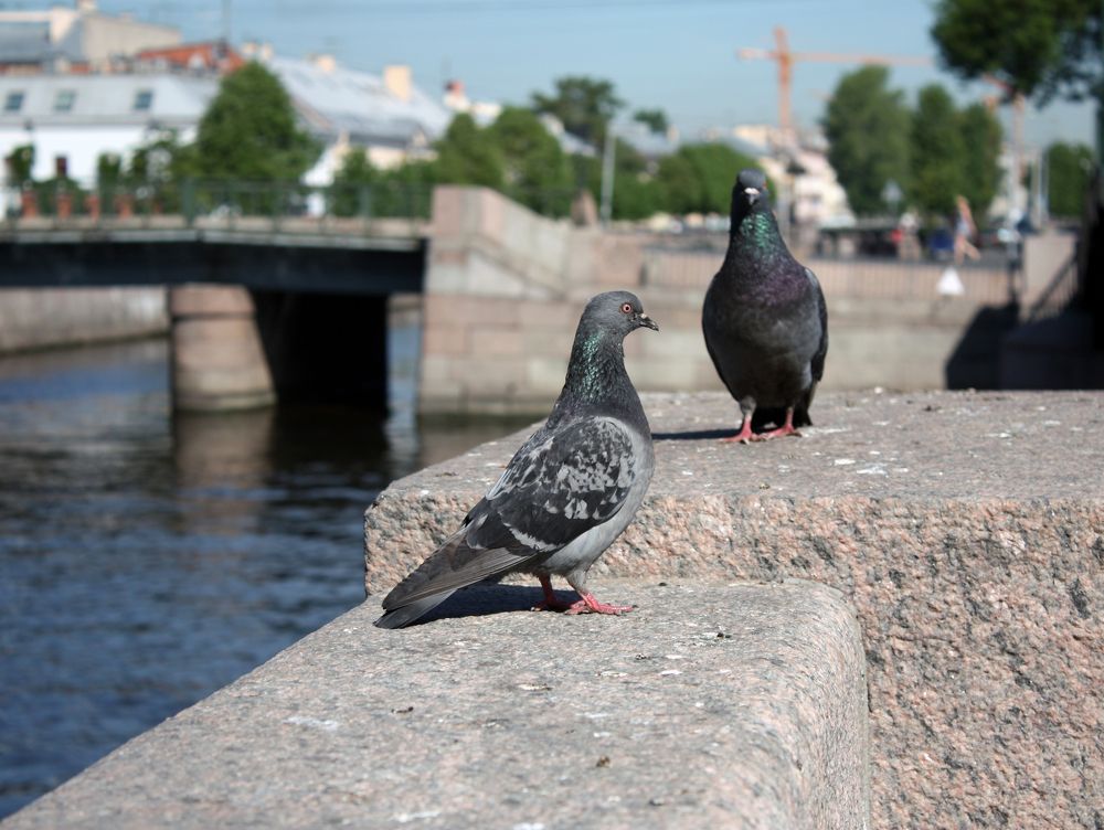 Photograph by Татьяна