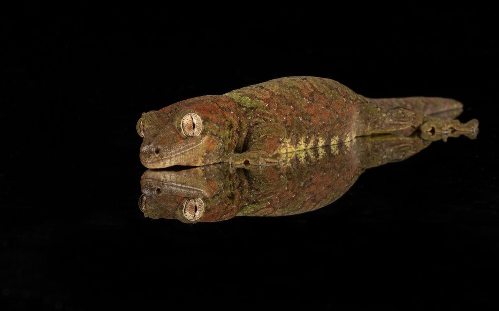 Фотография автора MARIA KULA