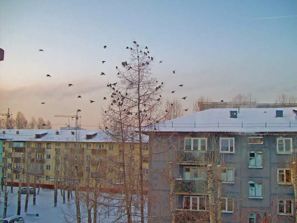 Photograph by Мигун Александра