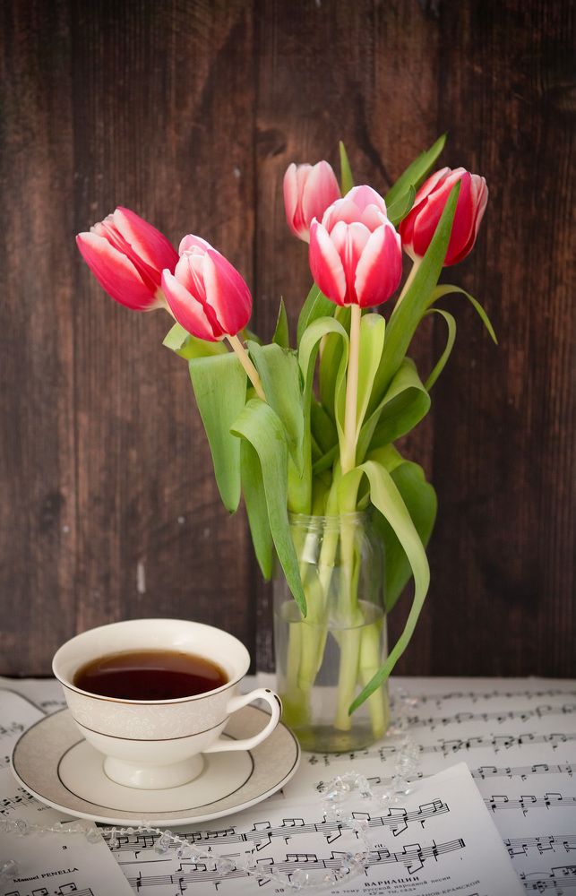 Photograph by Екатерина Одинцова