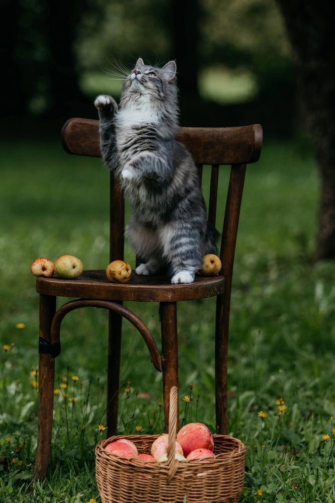 Photograph by Юрий Зильберборд