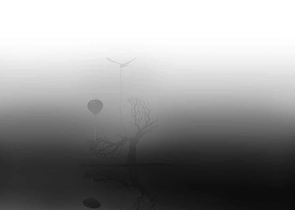 Photograph by Виктор Холодов