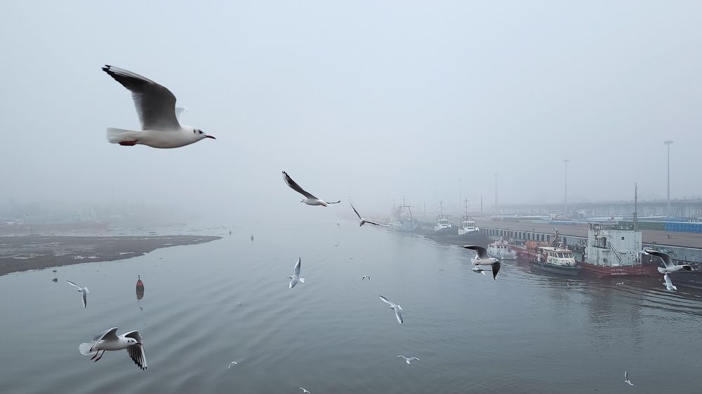 Photograph by Mina Mamdouhi