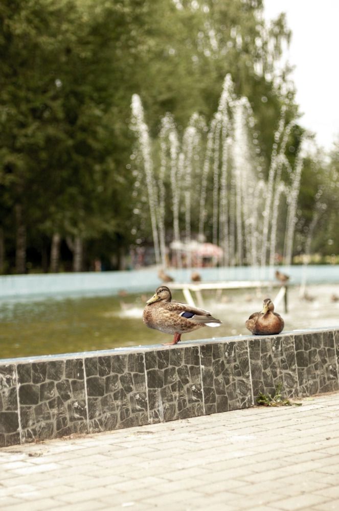 Photograph by Екатерина Одинцова