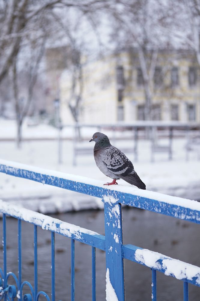 Photograph by Екатерина Одинцова