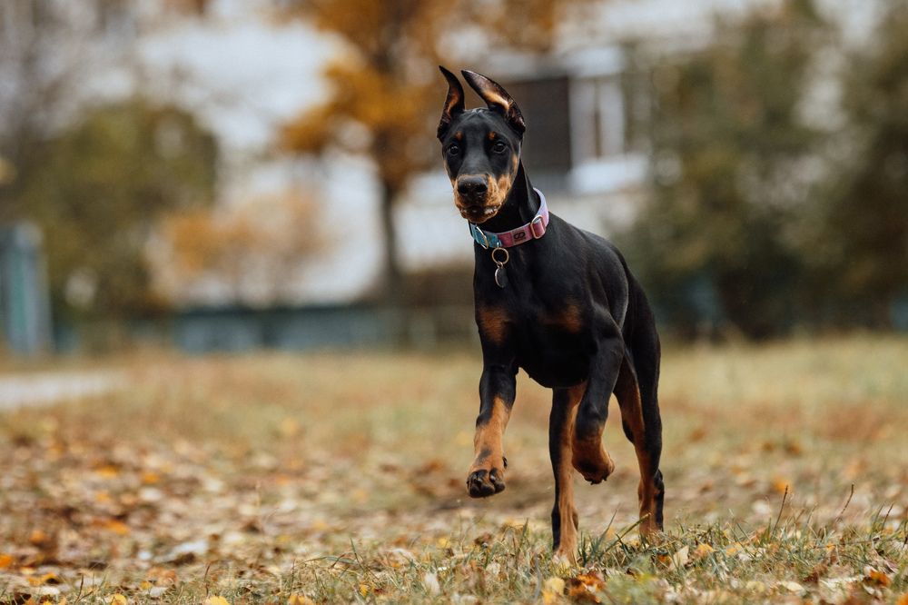 Photograph by Юлия Алексеева