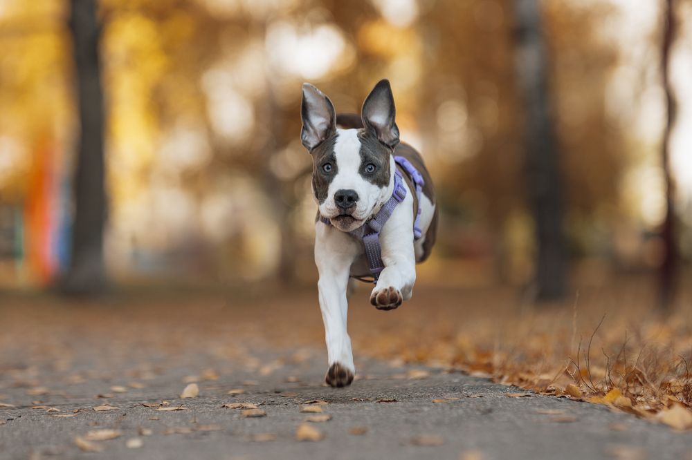 Photograph by Юлия Алексеева