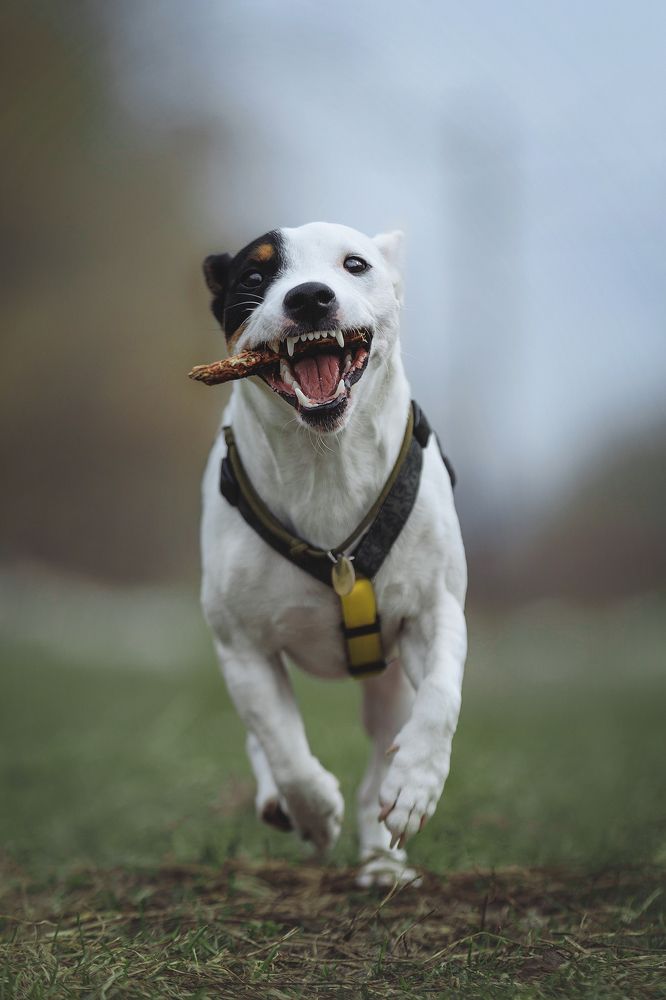 Photograph by Юлия Алексеева