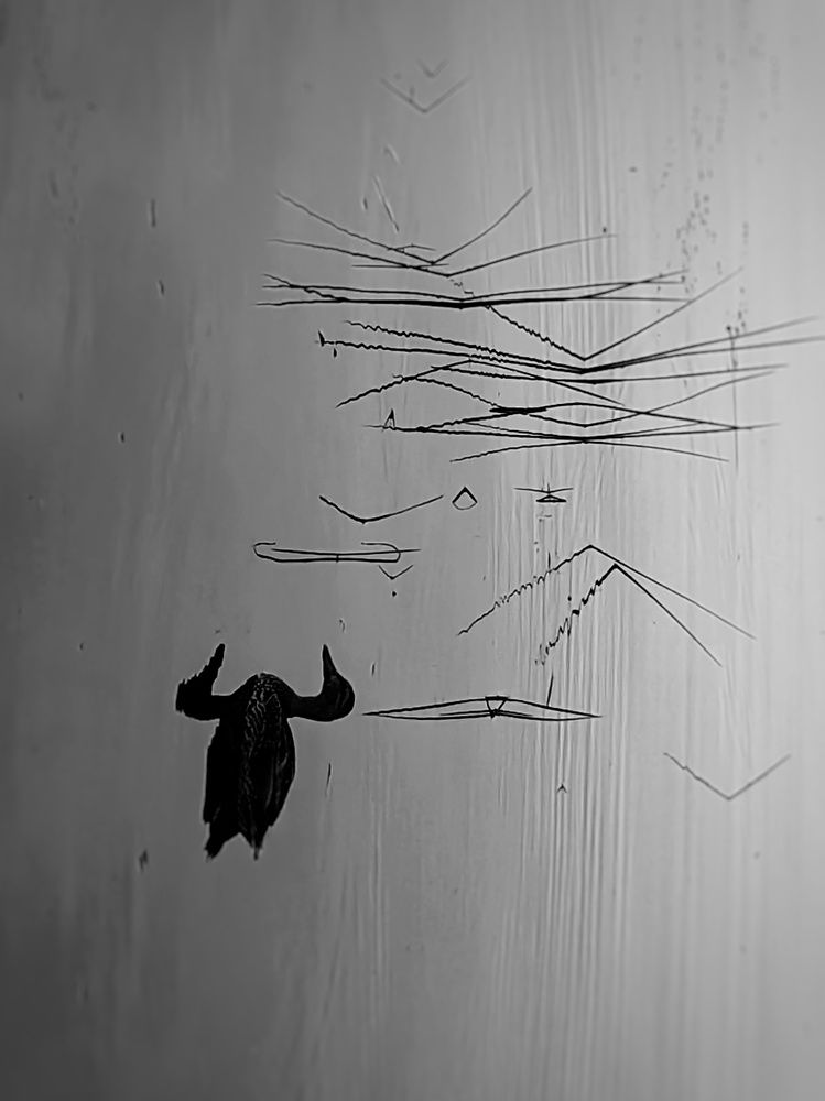 Photograph by Давыдова Ирина