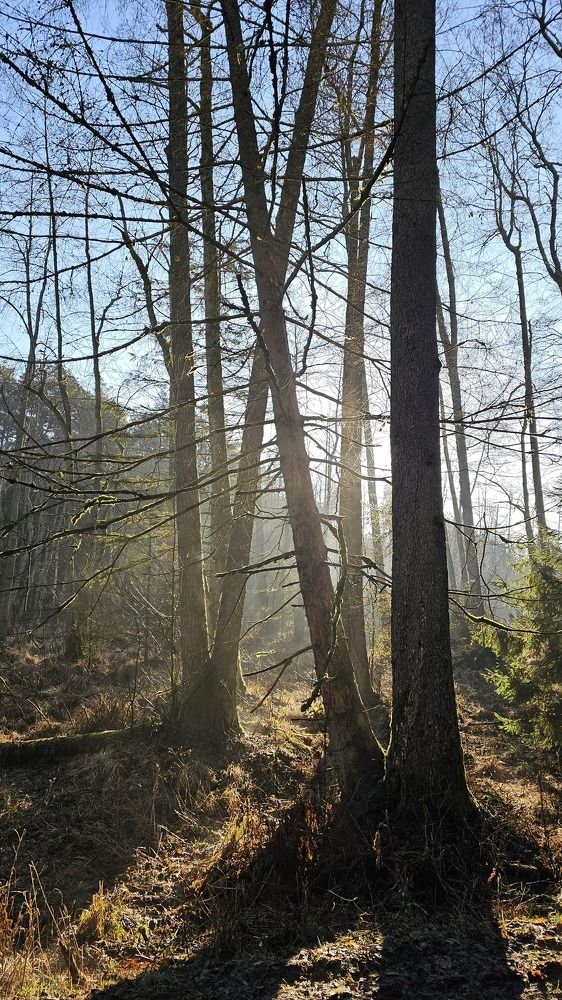 Фотография автора Александр Петуховский