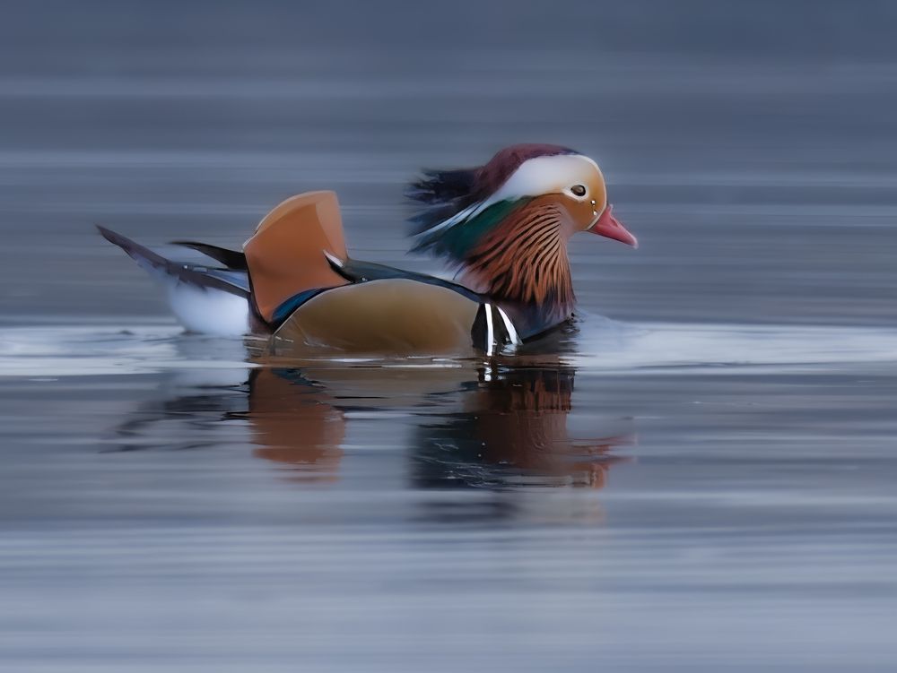 Photograph by Сергей Немцев