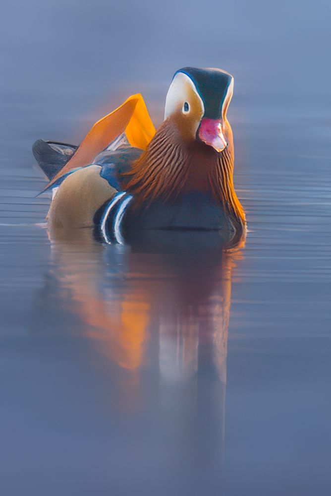 Photograph by Сергей Немцев