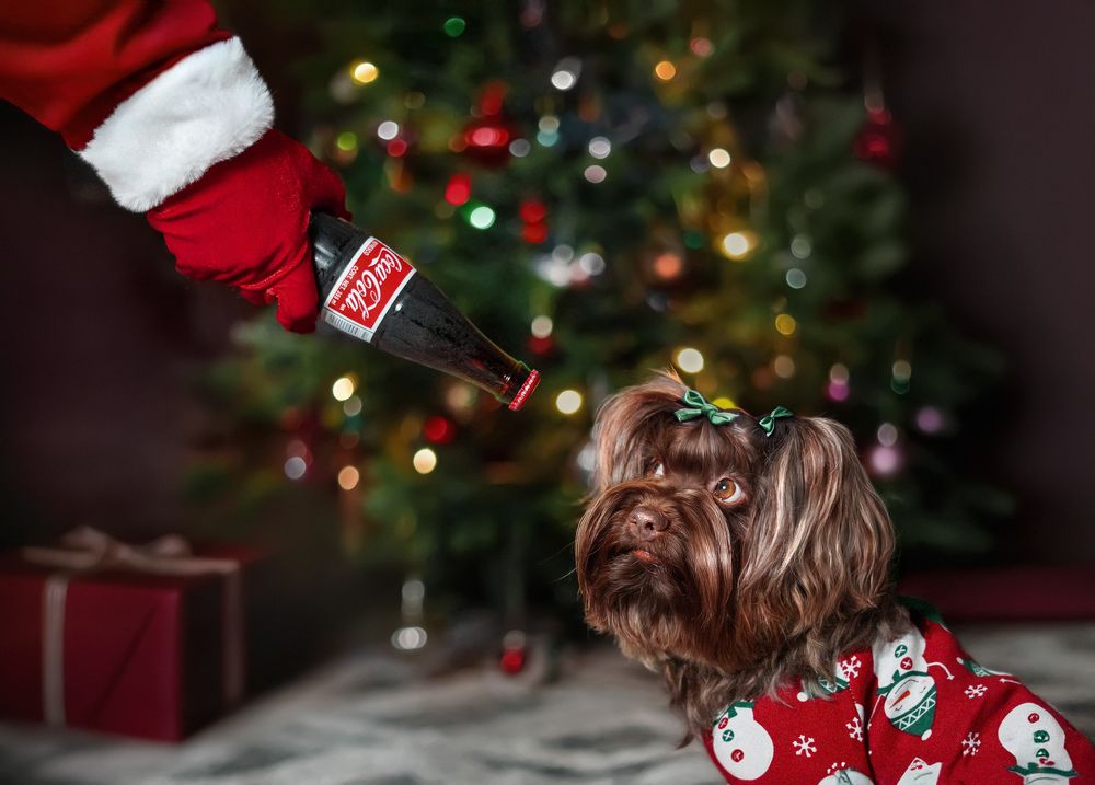 Фотография автора Eugenia Tuzova