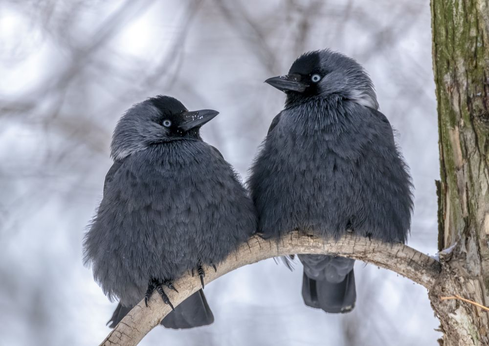 Photograph by Андрей Калинин