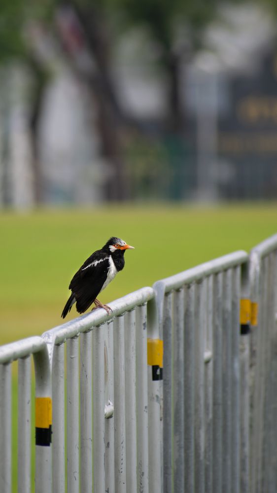 Photograph by DIMITRIOS SIONAKIDIS