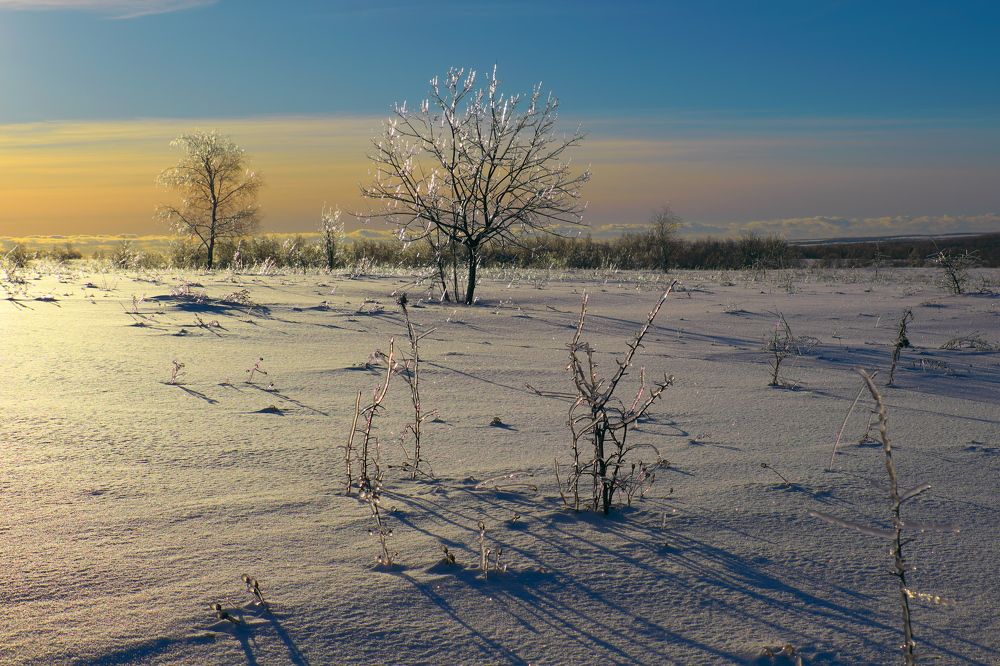 Photograph by Владимир Кирсанов