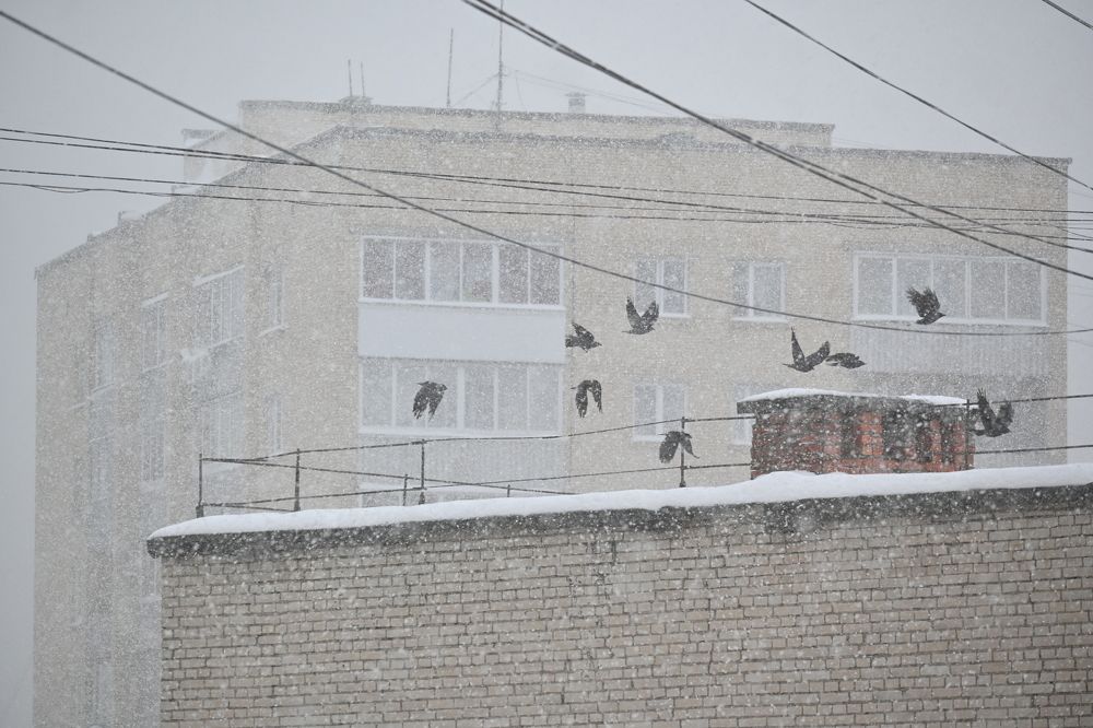 Photograph by Давыдова Ирина