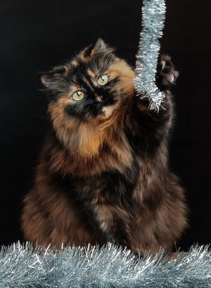 Photograph by Юлия Корчак