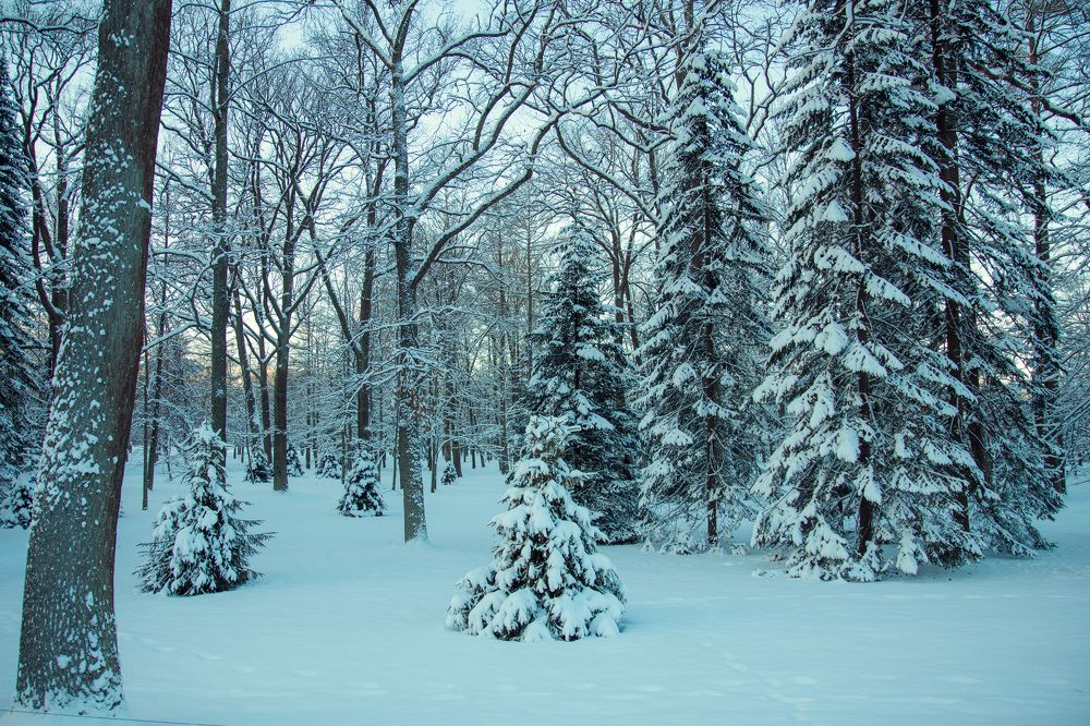 Photograph by Юлия Корчак