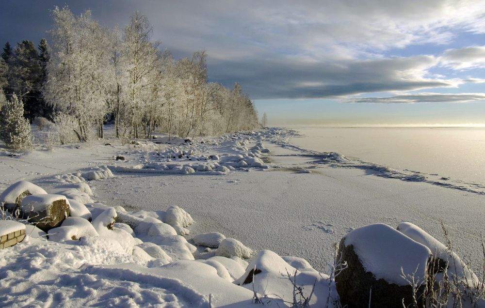 Фотография автора Харламова Валентина