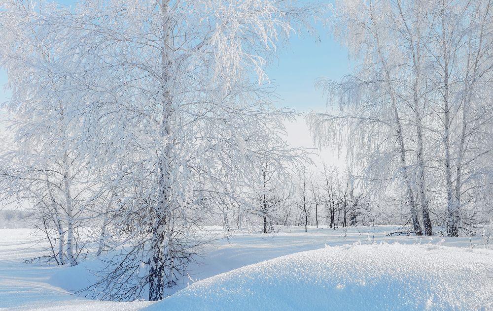 Морозный день