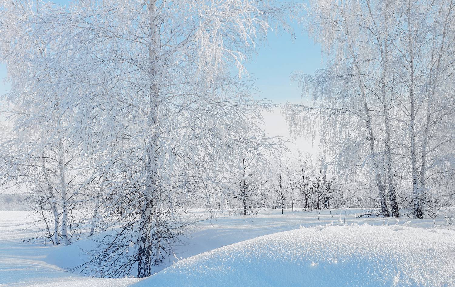 Морозный день