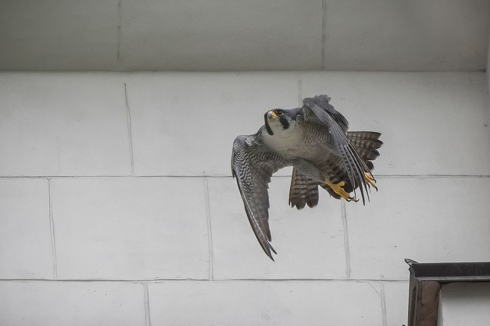 Фотография автора Andrey Semenov