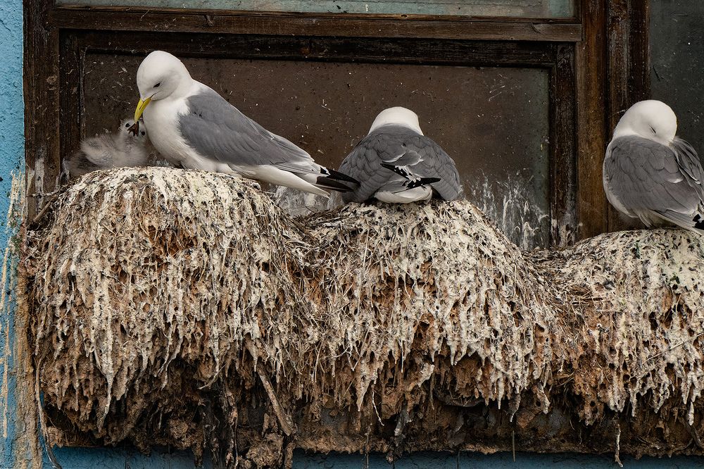 Фотография автора Andrey Semenov