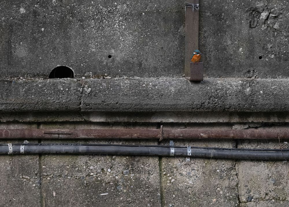 Фотография автора Andrey Semenov