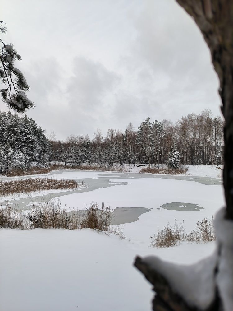 Photograph by Юлия Бурминская