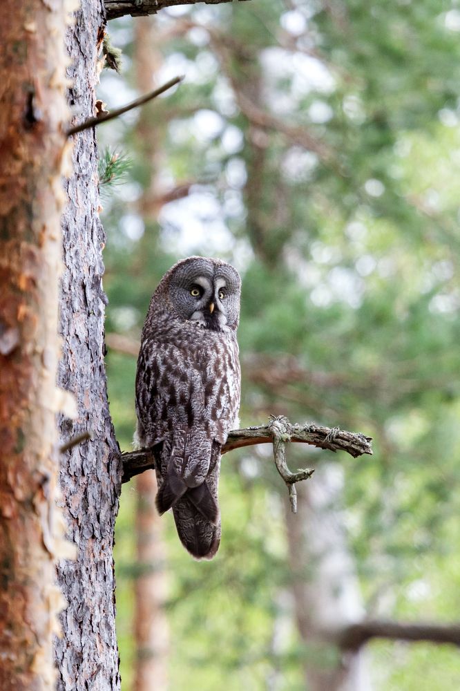 Photograph by Екатерина Бакулина