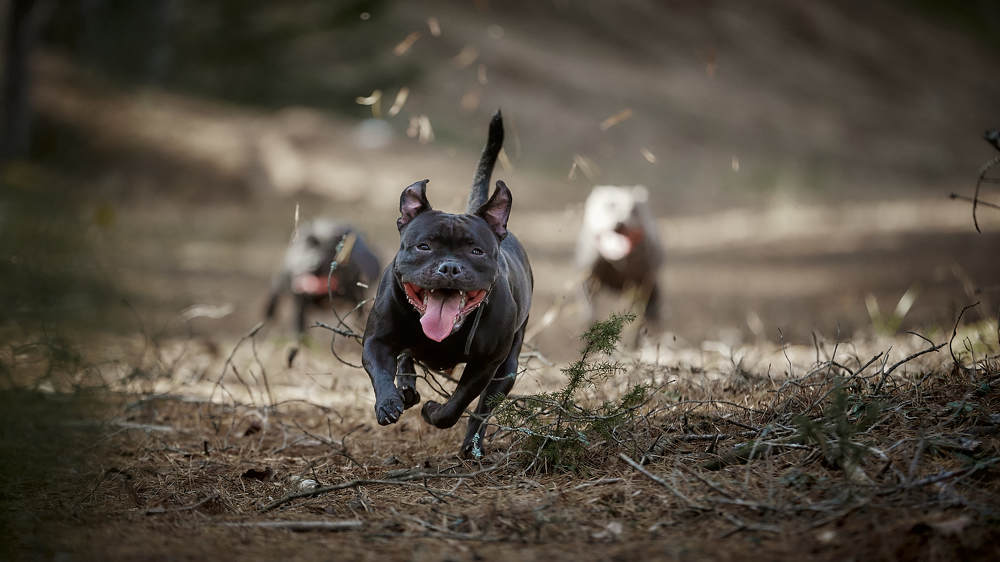 Photograph by Зайцев Игорь